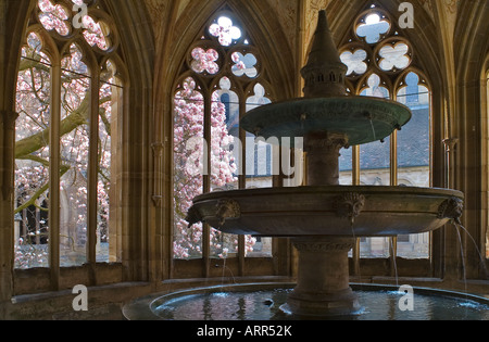 Fontana della abbazia cistercense di Maulbronn Foto Stock