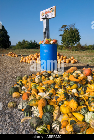 La vendita di zucca zucca zucca hokkaido et al campo agricolo contadino vendere venditore di massa del paesaggio Foto Stock