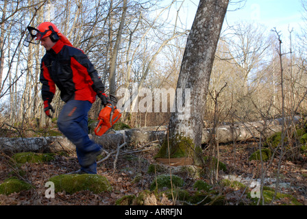 Lavoratore di foresta e di un albero che cade verso il basso Foto Stock