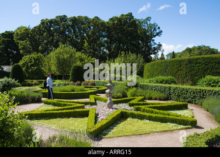 dh The Knot Garden CAWDOR CASTLE INVERNESSSHIRE Scottish lady Viewing Fiori rosa garofano a forma di stella siepe castelli giardini turistici Scozia Foto Stock