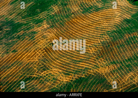 Vista aerea di tracce su un campo Foto Stock