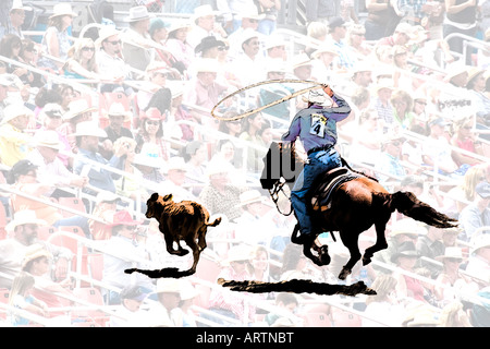 Concetto di immagine del rodeo scena con spaccato di cowboy rincorreranno il vitello con lazo sullo sfondo della folla in cappelli da cowboy Foto Stock