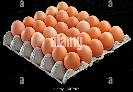 Uova di colore marrone nella scatola in cartone Foto Stock