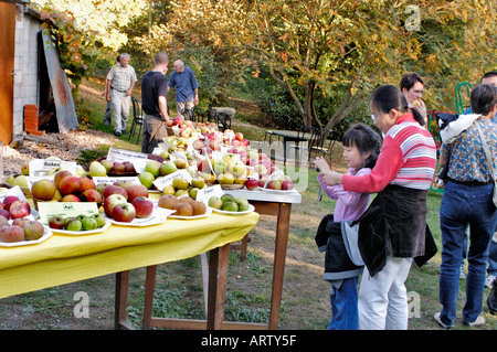 Piccola folla, famiglia cinese multiculturale in visita alla "fattoria biologica" "mele Orchard" che raccoglie frutta. divertente Foto Stock