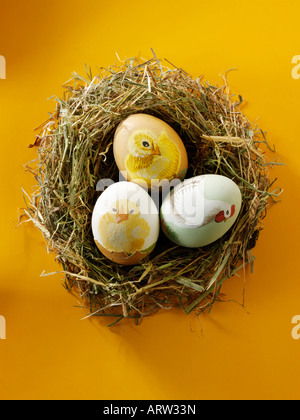 Dipinto a mano le uova di Pasqua Foto Stock