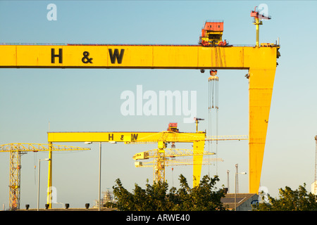 Irlanda del Nord Belfast Harland Wolff gru di cantiere Sansone Golia prominente dello skyline di Belfast includono Foto Stock