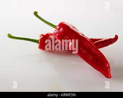 Rosse dolci peperoni punta su sfondo bianco Foto Stock