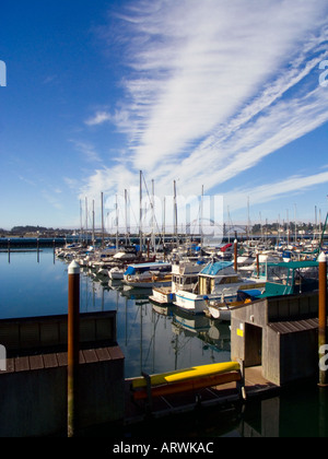 Flusso di nuvole a terra oltre la marina all'Embarcadero a Newport sulla costa dell'Oregon Foto Stock