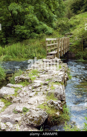 Percorso roccioso che conduce al ponte in legno sul flusso Foto Stock