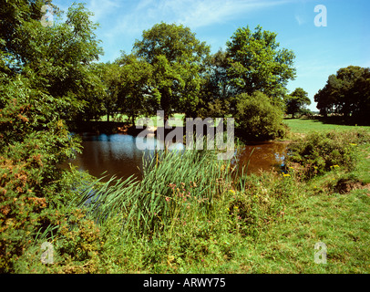 Cheshire mottram st andrew stagno Foto Stock