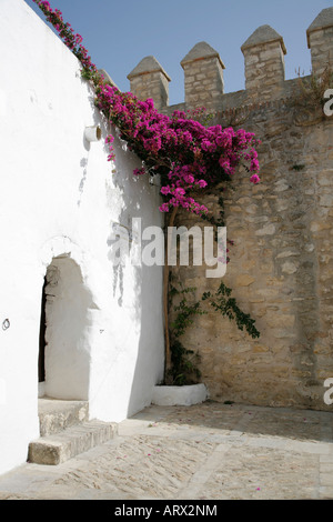 Vejer de la Frontera Andalusia Spagna vecchia e fortificata città bianca Foto Stock