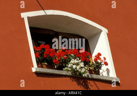 Villaggio di montagna di Fusio cassetta per fiori e fiori di colore rosso Valle Maggia Canton Ticino, Svizzera Foto Stock
