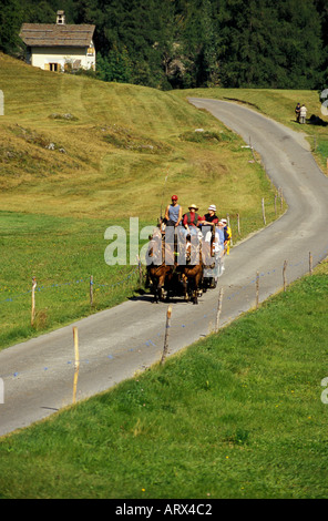 La Svizzera carro trainato da cavalli a cavallo attraverso la valle di montagna di Fex a Sils Engadina Foto Stock