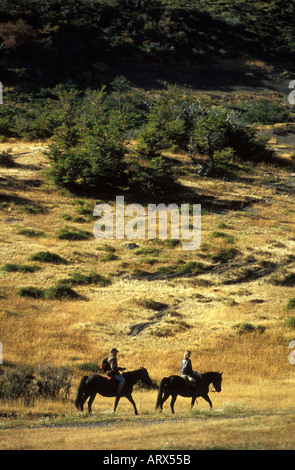 Parco Nazionale di Torres del Paine Argentina, giovane Equitazione nel paese indietro Foto Stock