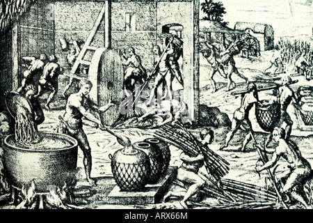 Lo zucchero in Antille West Indies. Fine del XVII secolo. Illustrazione di antiquariato. 1930 Foto Stock