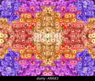 Arte digitale: Floral Display Foto Stock
