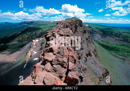 Il Devil's Causeway percorso escursionistico Flattops Wilderness area Routt National Forest CO USA Foto Stock