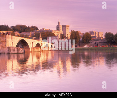 Fiume Rodano Pont St Benezet Avignon Vaucluse Provence Alpes Cote d Azur Francia Foto Stock