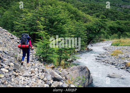 Escursionista sul grande sentiero del circuito accanto al fiume Paine, Parco Nazionale Torres del Paine, Patagonia, Cile Foto Stock