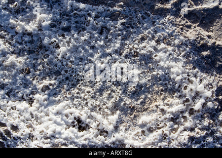 San Pedro de Atacama, El Tatio Gayser area, close-up di massa, Cile America del Sud Foto Stock