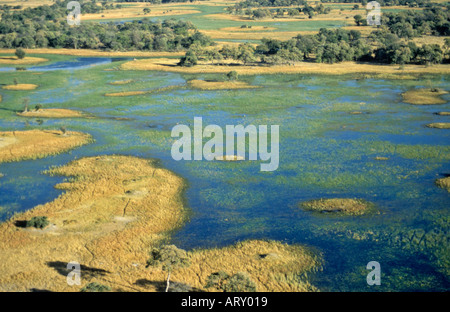 Okavango Delta dall'aria, Botswana Foto Stock