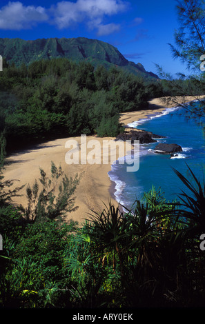 Spiaggia Lumahai dove il filmato "South Pacific' è stato girato, Kauai Foto Stock