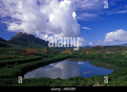 Menehune Peschiera (Alekoko) , vicino Nawiliwili Harbor e Lihu'e sull'Isola di Kaua'i. Ha'UPU Ridge in background. Foto Stock