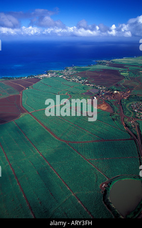 Vista aerea dei campi di canna da zucchero di Maui colorata da un bellissimo arcobaleno in background Foto Stock