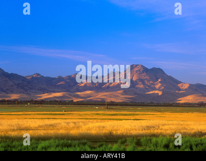 I terreni agricoli e il Sutter Buttes nella valle del Sacramento della California Foto Stock