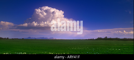 Un thundercloud su Sutter Buttes nella valle del Sacramento in California Foto Stock