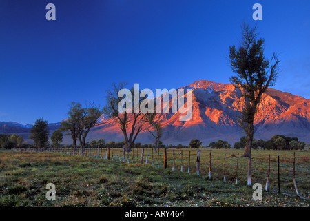 Sunrise su Mt Tom nella parte orientale della Sierra Nevada della California Foto Stock