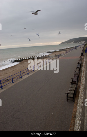 Eastbourne il lungomare e la passeggiata con i gabbiani di mare mosso e Beachy Head in background Foto Stock