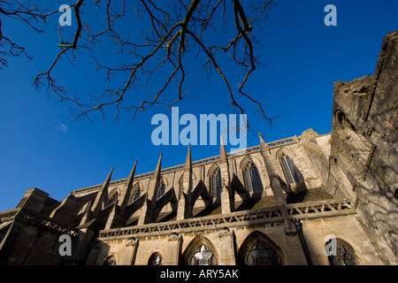 Malmesbury Abbey a Malmesbury, Wiltshire Foto Stock
