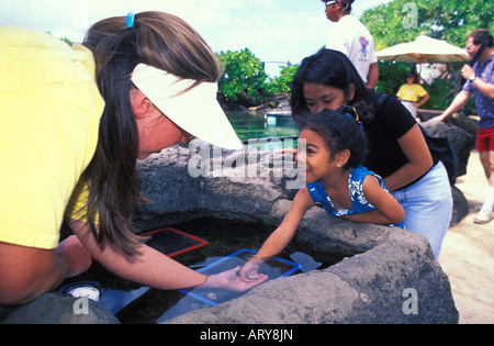 Una giovane ragazza esplora alcune uniche creature del mare a bordo del reef vasca al Waikiki Aquarium. Foto Stock