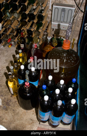 Home brew cantina con fermentazione damigiane contenenti il vino e la birra Foto Stock