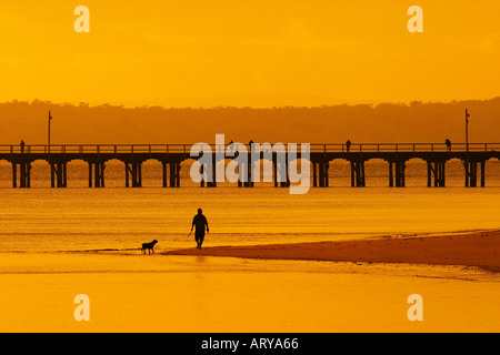 Persona e cane a Sunrise molo di Urangan Hervey Bay Fraser Coast di Queensland in Australia Foto Stock