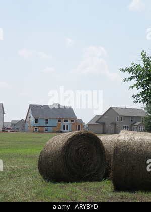 Nuovo case da campo di fieno Foto Stock