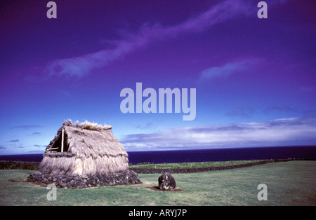 Hale (con tetto di paglia di Hawaiian hut) all'Mookini Heiau, lungo la North Kohala Coast Foto Stock