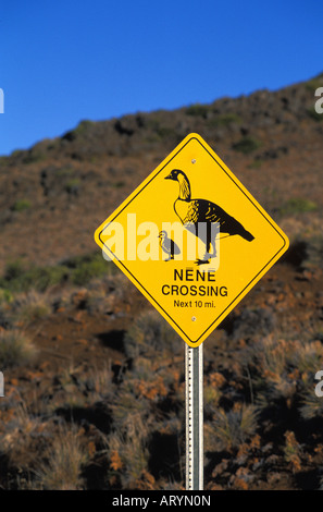 Cartello giallo della madre e del bambino nene oca; segni legge nene attraversando il prossimo 10 mi. Haleakala National Park Foto Stock