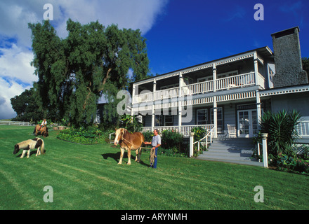 Silver Cloud Ranch. Un bed and breakfast che si trova nella zona di upcountry di Maui noto per la sua tranquillità, vecchio tempo Foto Stock