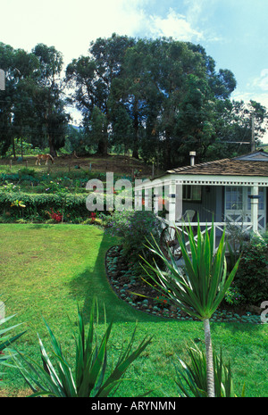 Silver Cloud Ranch. Un bed and breakfast che si trova nella zona di upcountry di Maui noto per la sua tranquillità, vecchio tempo Foto Stock