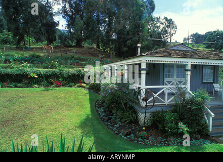 Silver Cloud Ranch. Un bed and breakfast che si trova nella zona di upcountry di Maui noto per la sua tranquillità, vecchio tempo Foto Stock