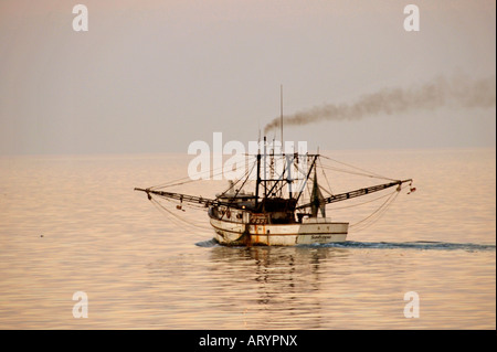 Key West Florida barca da pesca a strascico in porto Foto Stock