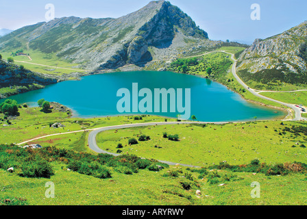 Lago Enol del Lagos de Covadonga nel Parco Nazionale Picos de Europa, Asturias, Spagna Foto Stock