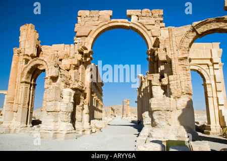 Triumphal arco monumentale tra le rovine di antiche Tadmor, Palmyra, Siria centrale, Medio Oriente. DSC 5950 Foto Stock