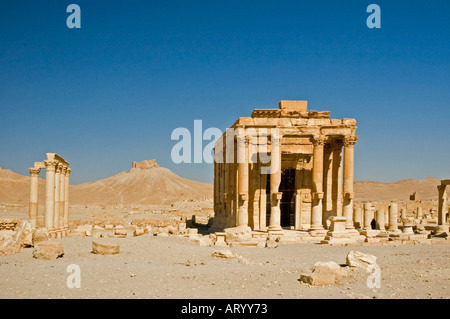 Tempio di Baal Shamin, tra le rovine di antiche Tadmor, Palmyra, Siria centrale, Medio Oriente. DSC 5958 Foto Stock