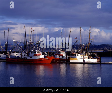 Newport in Oregon che mostra il tranquillo porto riempita con commerciale delle navi da pesca Foto Stock