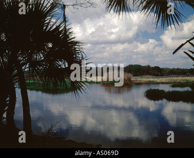 Myakka River State Park è uno dei più grandi Floridas e più diverse aree naturali Foto Stock