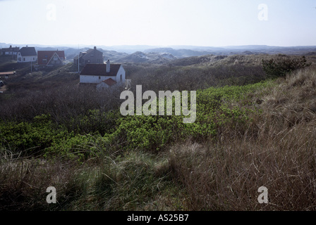 Bergen aan Zee, Dünenlandschaft, Foto Stock