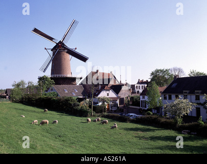 Wijk bij Duurstede, 'Rijn en Lek', Getreidemühle auf dem Rijnmolenpoort Foto Stock